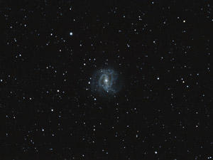 M 83