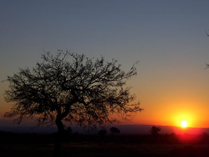 Atardecer :: Sur Astronmico