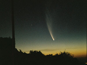 C/2006 P1 McNaught :: Sur Astronmico