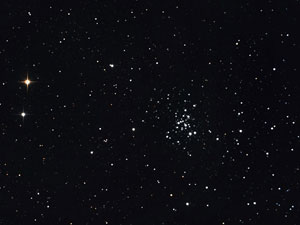 NGC 6231