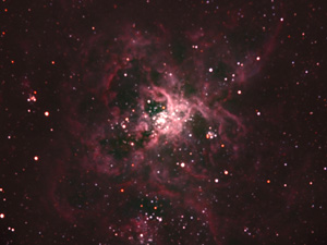 Nebulosa Tarntula - NGC 2070