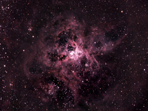 Nebulosa Tarntula - NGC 2070