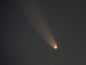 C/2006 P1 McNaught :: Sur Astronmico