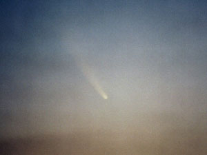 C/2006 P1 McNaught :: Sur Astron�mico