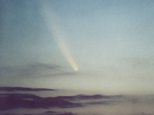 C/2006 P1 McNaught :: Sur Astron&oacute;mico