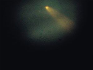 Cometa C/2006 P1 McNaught