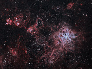Nebulosa de la Tarntula (Bicolor)