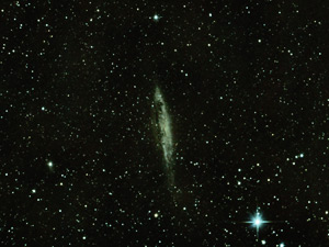 NGC 4945 :: Sur Astronmico