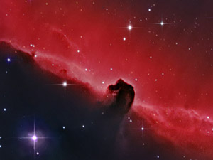 Nebulosa Cabeza de Caballo :: Sur Astron�mico