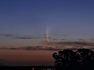 C/2006 P1 McNaught :: Sur Astronmico