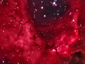 NGC 2238 :: Sur Astron�mico