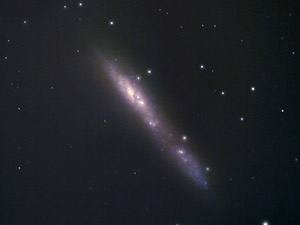 NGC 55 :: Sur Astron�mico