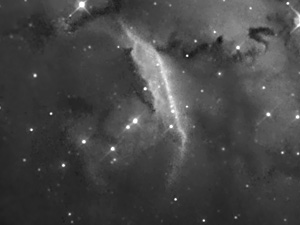NGC 6559 :: Sur Astron�mico