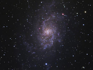 M 33