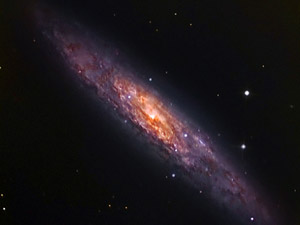 NGC 253 :: Sur Astronmico