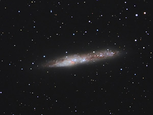 NGC 55