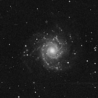 M 74