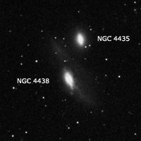 NGC 4435 y NGC 4428
