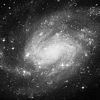 NGC 300